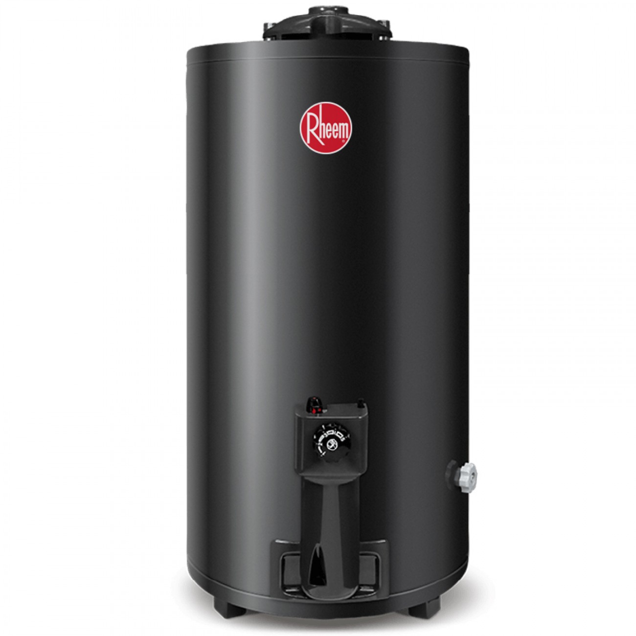 Imagen Termotanque Gas Natural Rheem Tgnp080rh 80 Lt Conex Superior